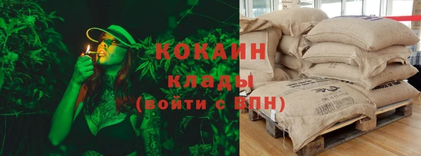 ПСИЛОЦИБИНОВЫЕ ГРИБЫ Алексеевка