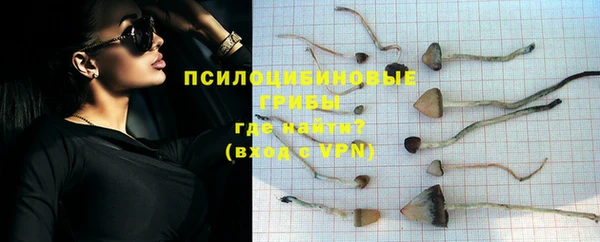 мяу мяу мука Алзамай