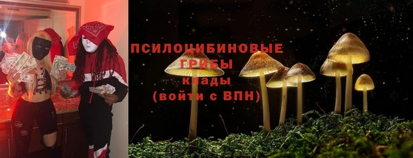 ПСИЛОЦИБИНОВЫЕ ГРИБЫ Алексеевка