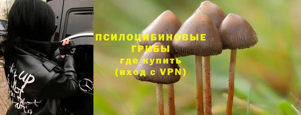 мяу мяу мука Алзамай
