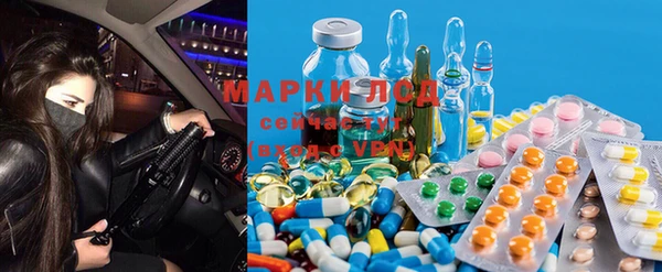 ПСИЛОЦИБИНОВЫЕ ГРИБЫ Алексеевка
